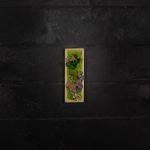 Quadro vegetale stabilizzato Photinia