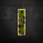 Quadro vegetale stabilizzato Myrica