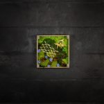 Quadro vegetale stabilizzato Aralia