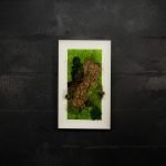 Quadro vegetale stabilizzato Hosta