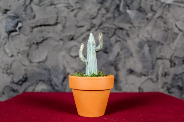 Cactus - Image 2