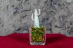 Cactus Glass - immagine 2