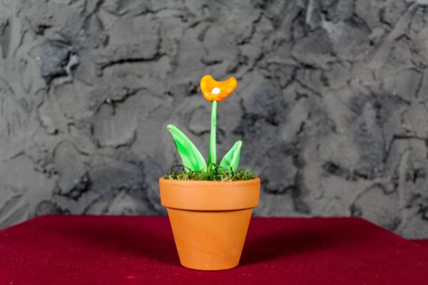 Fiore Calla Arancio - immagine 2