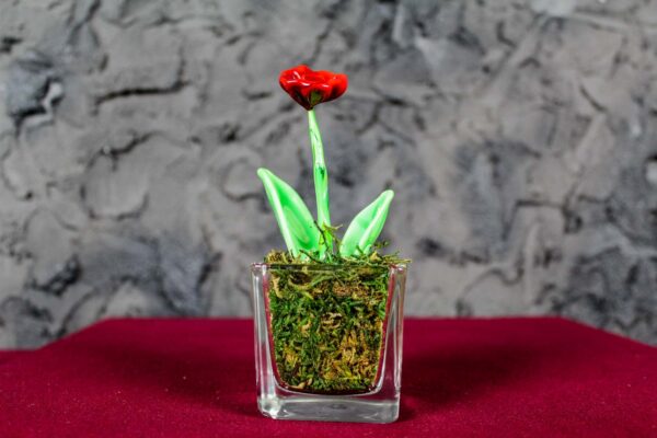 Papavero Rosso Glass - immagine 2