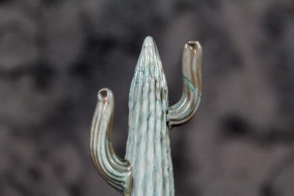 Cactus - Image 3