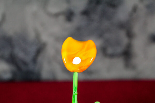 Fiore Calla Arancio - immagine 3