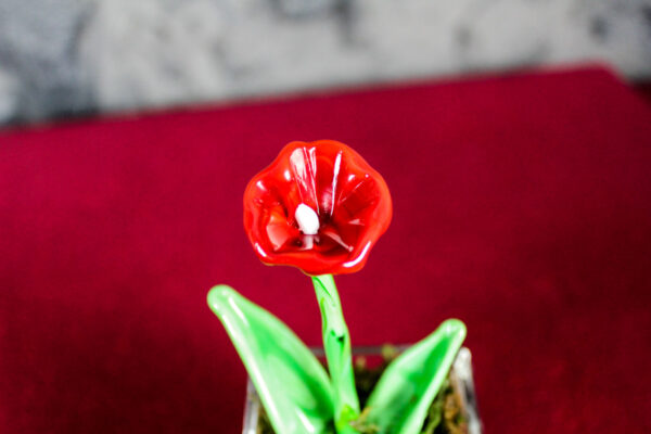 Papavero Rosso Glass - immagine 3