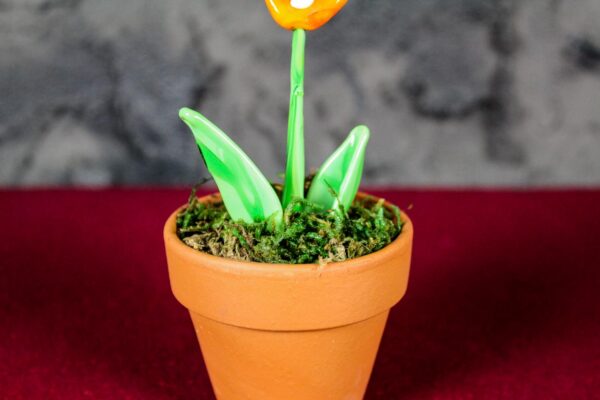 Fiore Calla Arancio - immagine 4