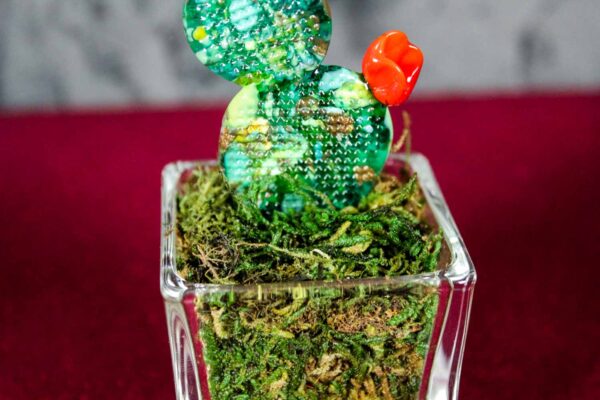 Fico d'India Glass Small - Image 4