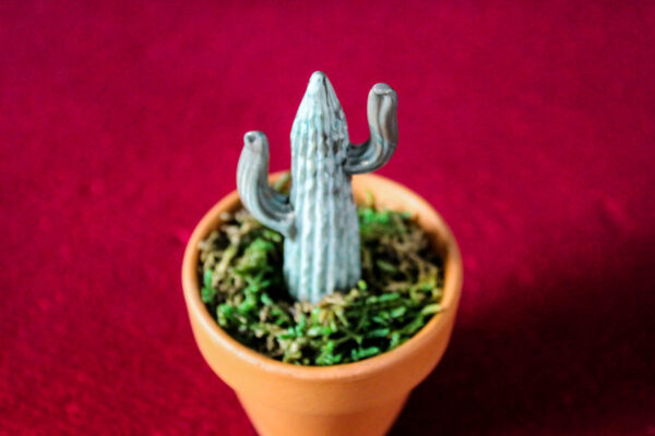 Cactus - Image 5