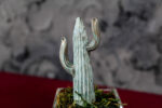 Cactus Glass - immagine 5