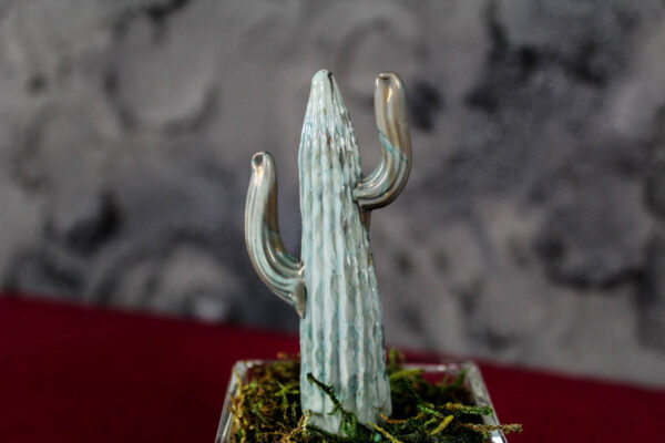 Cactus Glass - immagine 5
