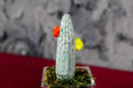 Cactus Small Glass - immagine 5