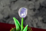 Pastel Violet Calla Flower - Image 5