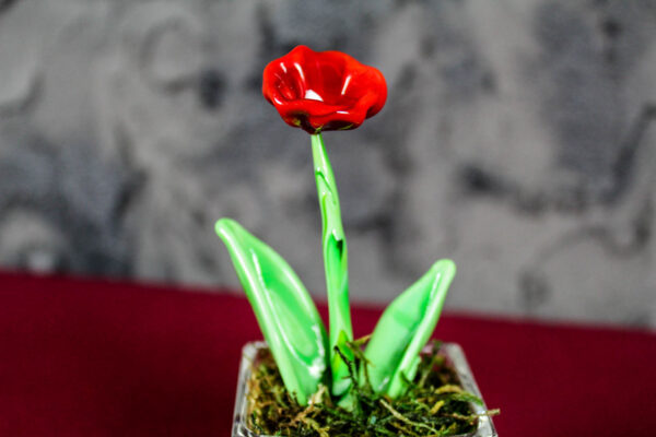 Papavero Rosso Glass - immagine 5