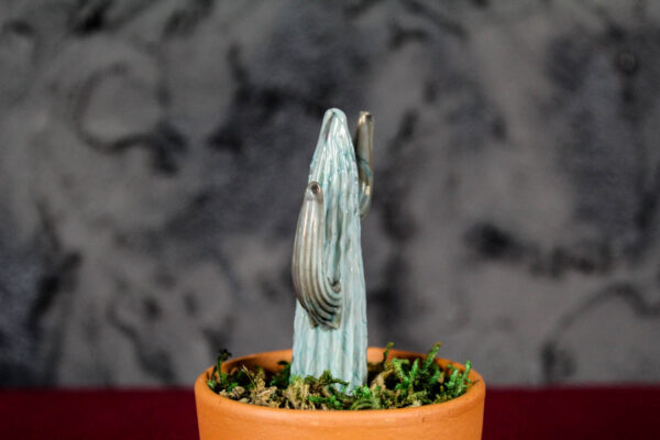 Cactus - Image 6