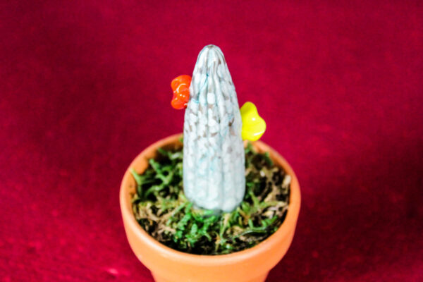 Cactus Small - immagine 6