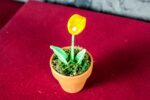 Fiore Calla Arancio - immagine 6