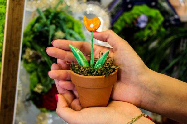 Fiore Calla Arancio - immagine 7
