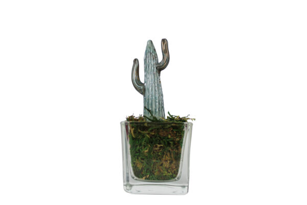 Cactus Glass - immagine 1