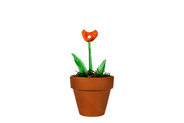 Fiore Calla Arancio - immagine 1