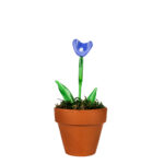 Pervinca Calla Flower