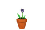 Pastel Violet Calla Flower
