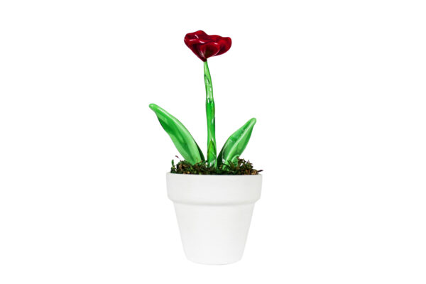 Papavero Rosso Murano - immagine 1